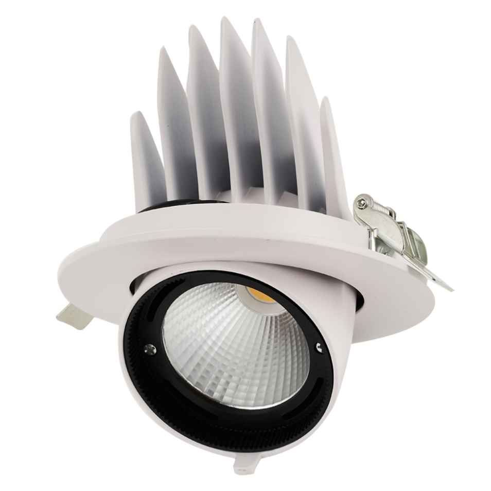 Светодиодный светильник PLED DL4 40W 4000K 24° поворот White IP40 Jazzway