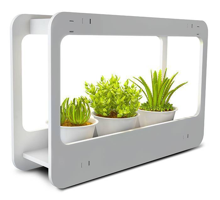 Светодиодный светильник PMG 002 LED 14w 4000K ( подставка для цветов) Jazzway