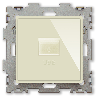Розетка USB бежевая "Эстетика" GL-W201U-BGG