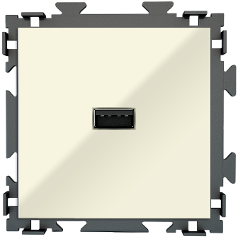 Розетка USB бежевая CGSS "Практика" PL-W201U-BGG