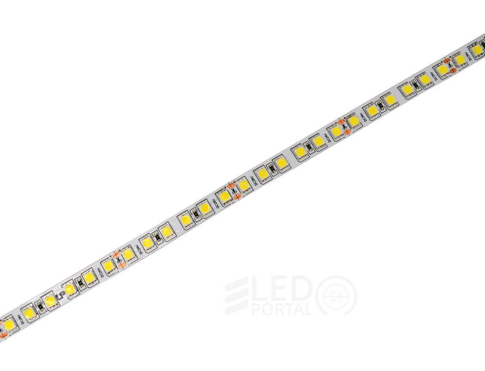 Светодиодная лента 5м LP 5050/96 24v Холодный белый 17 Вт/м