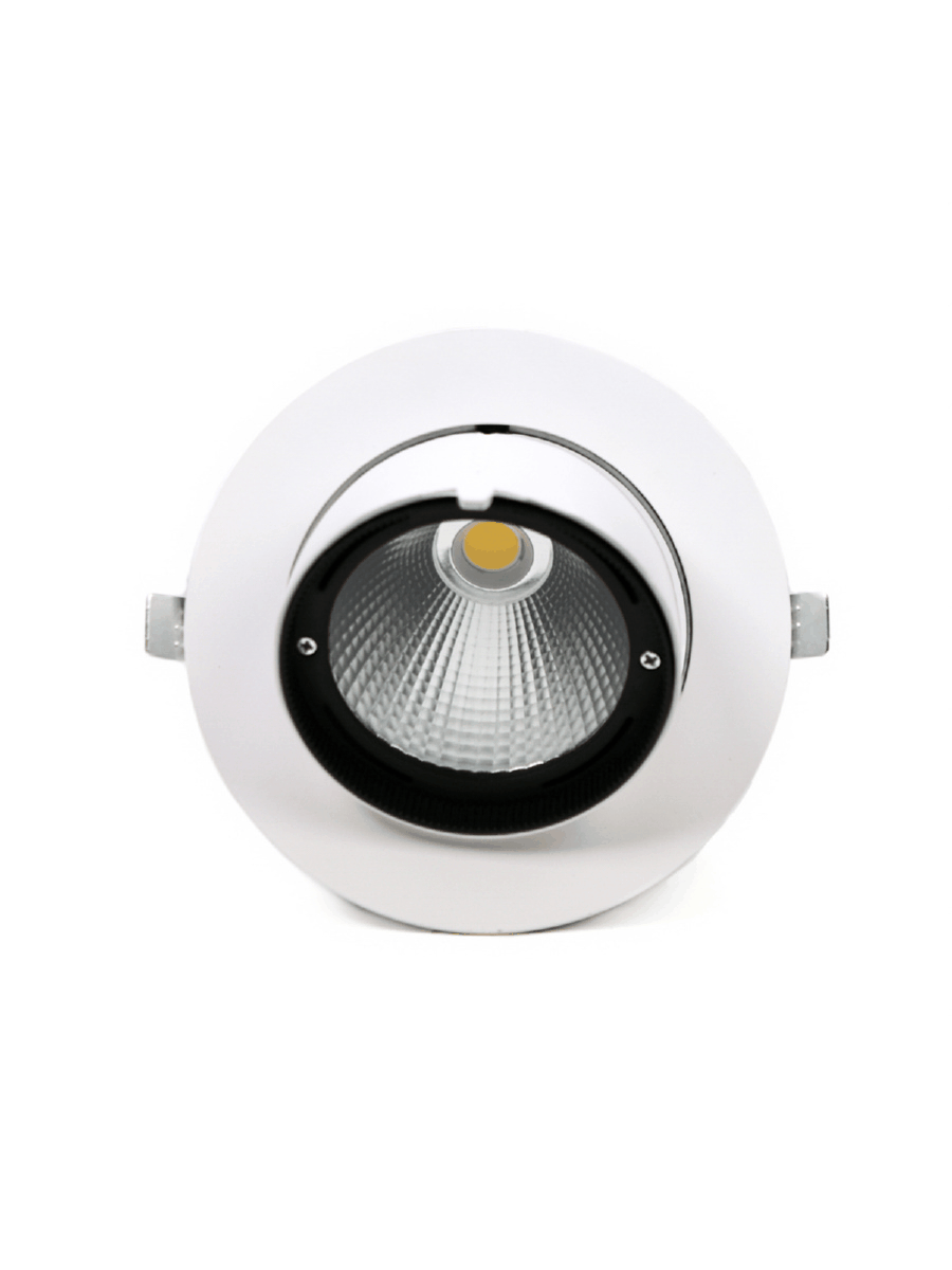 Светодиодный светильник PLED DL4 18W 4000K 24° поворот White IP40 Jazzway